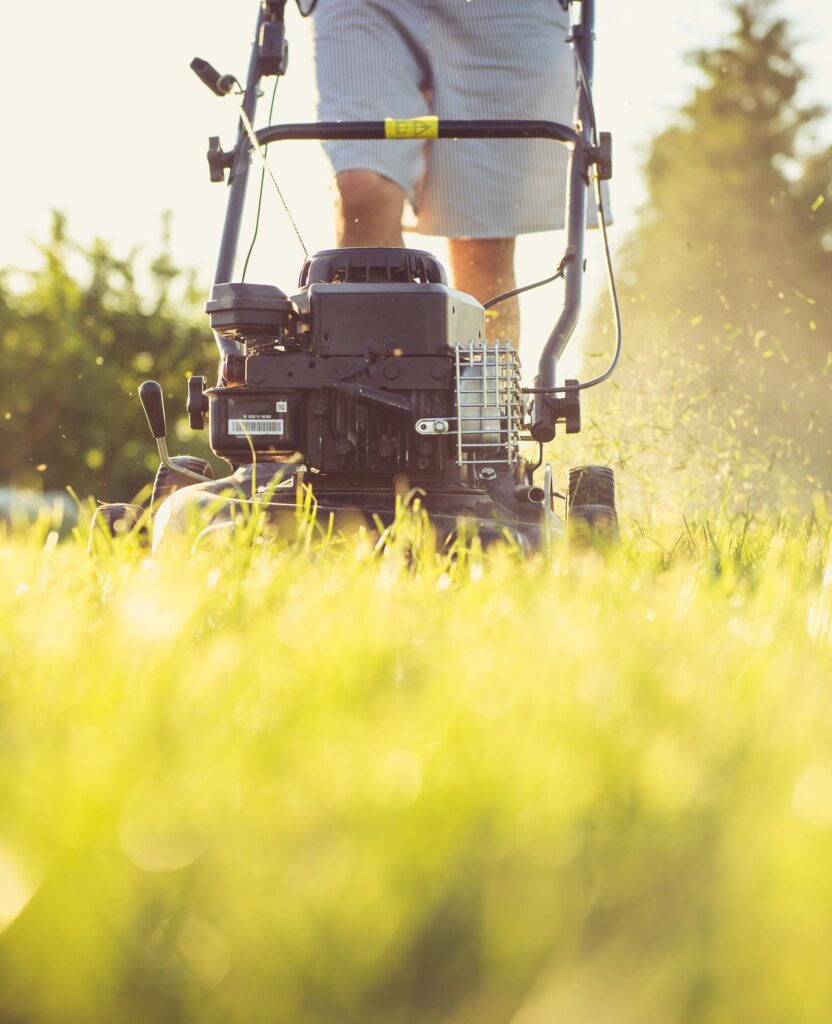 Close-up of a person mowing the lawn with a gas lawn mower on a sunny summer day.