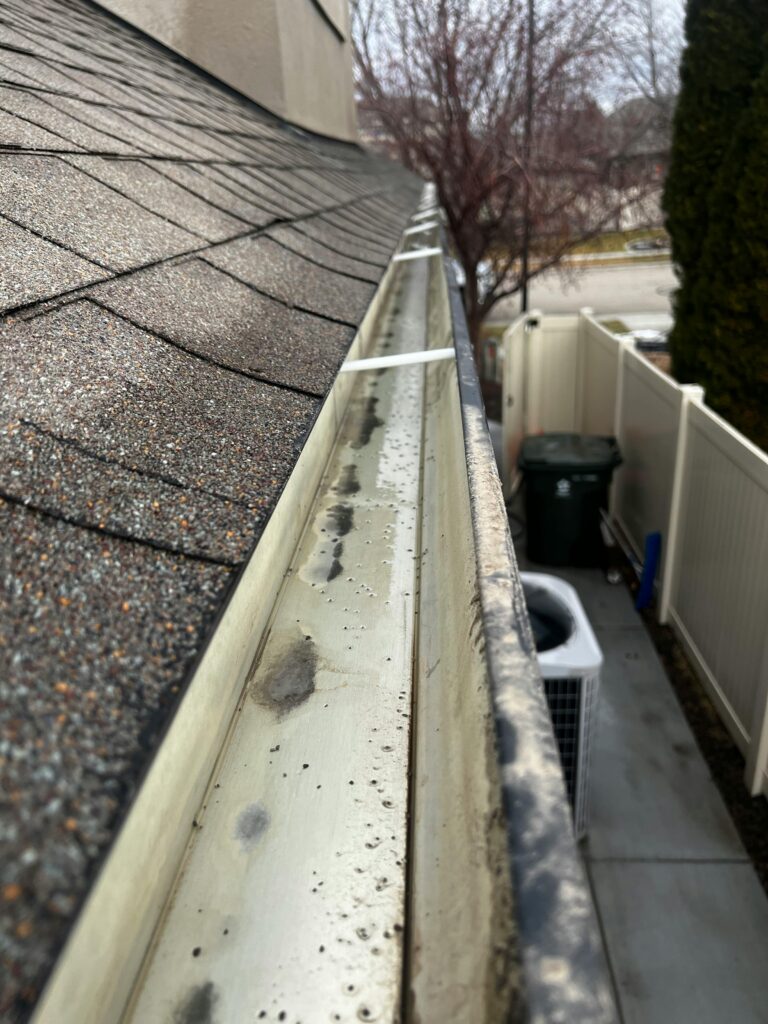 pexels revive wash 2157256303 34629378